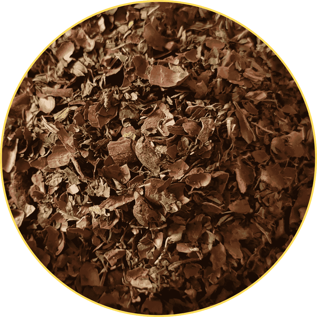 Choco-Mint Tea