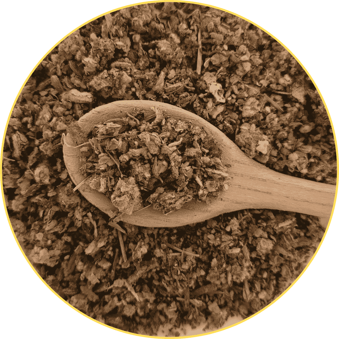 Mullein Tea Wild Crafted